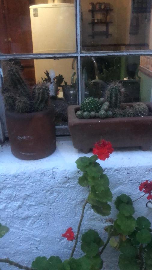 Home Stay Maria イダルゴ・デル・パラル エクステリア 写真